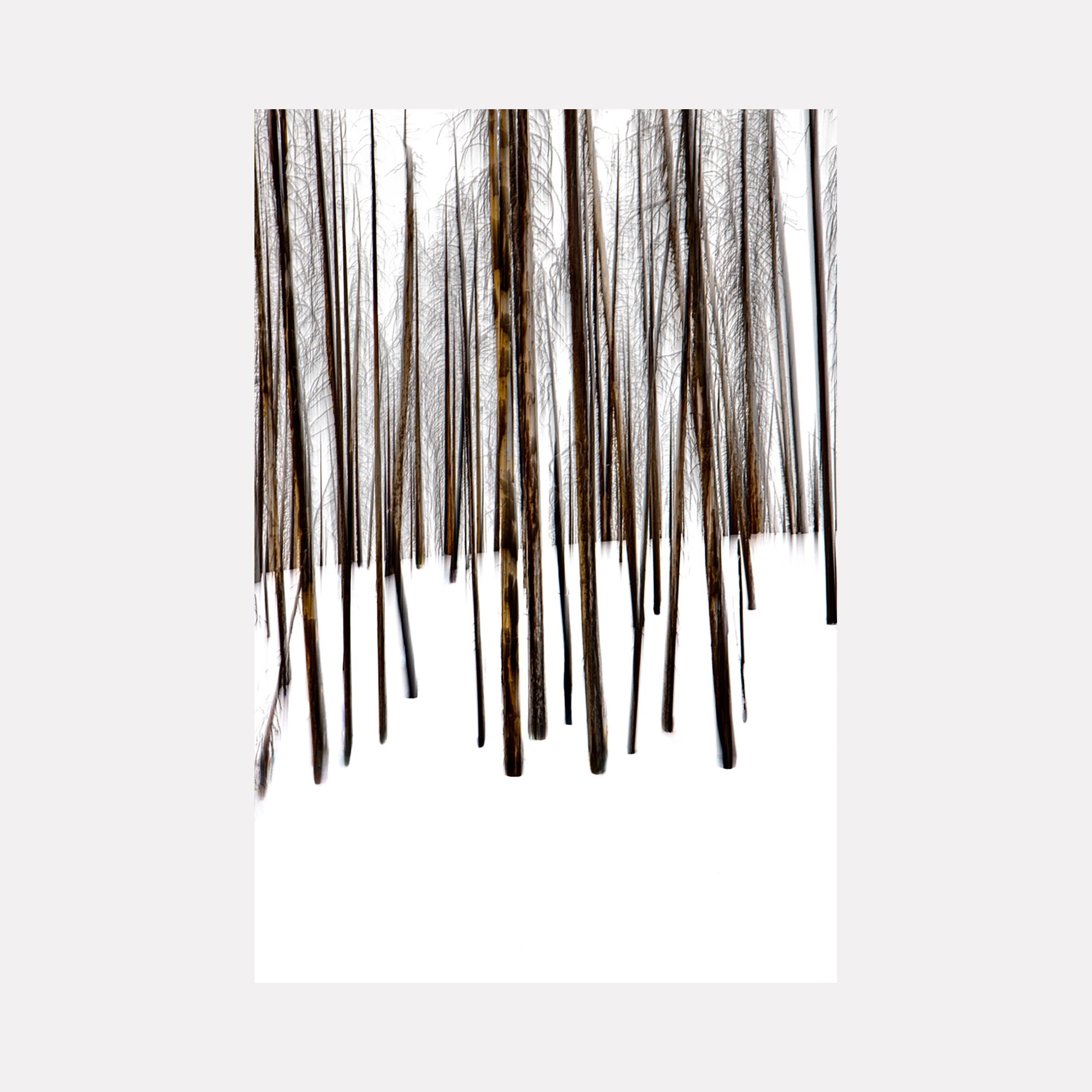 collection-preview-image