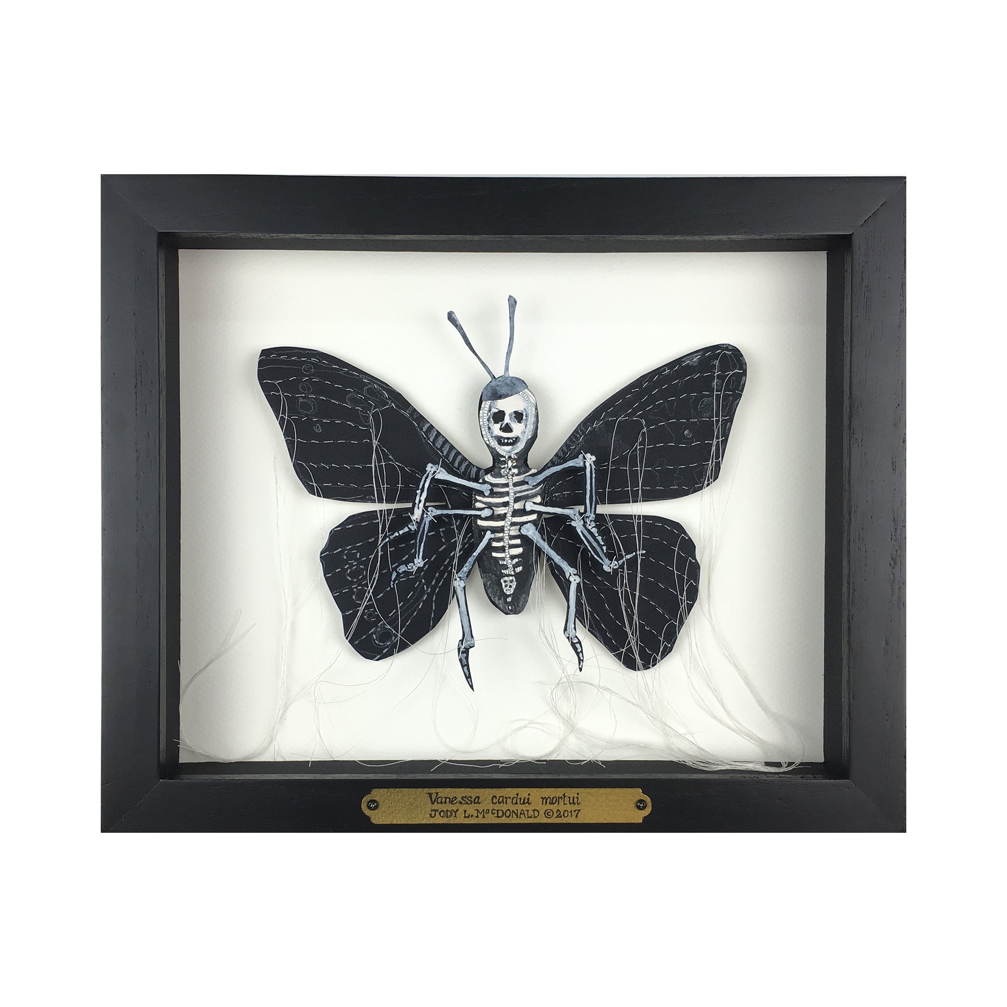 collection-preview-image