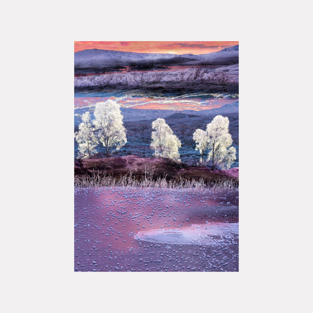Stand #10 by Gordon Saperia captures a serene twilight scene with luminous white trees on a softly textured hillside, a reflective water surface dotted with ripples, and distant rolling hills beneath a glowing purple and pink sky in a captivating Curina art style.
