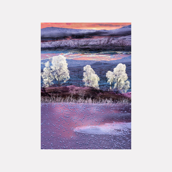 Stand #10 by Gordon Saperia captures a serene twilight scene with luminous white trees on a softly textured hillside, a reflective water surface dotted with ripples, and distant rolling hills beneath a glowing purple and pink sky in a captivating Curina art style.