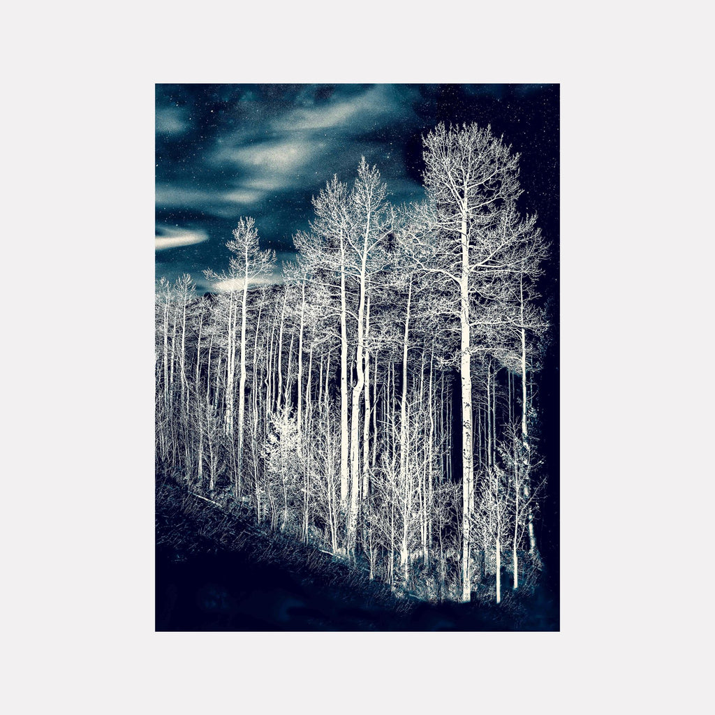 Stand #3 by Gordon Saperia presents a luminous forest scene with tall, slender trees illuminated against a deep, starry night sky, blending ethereal light and rich shadows to create a hauntingly beautiful natural landscape in the Curina art collection.