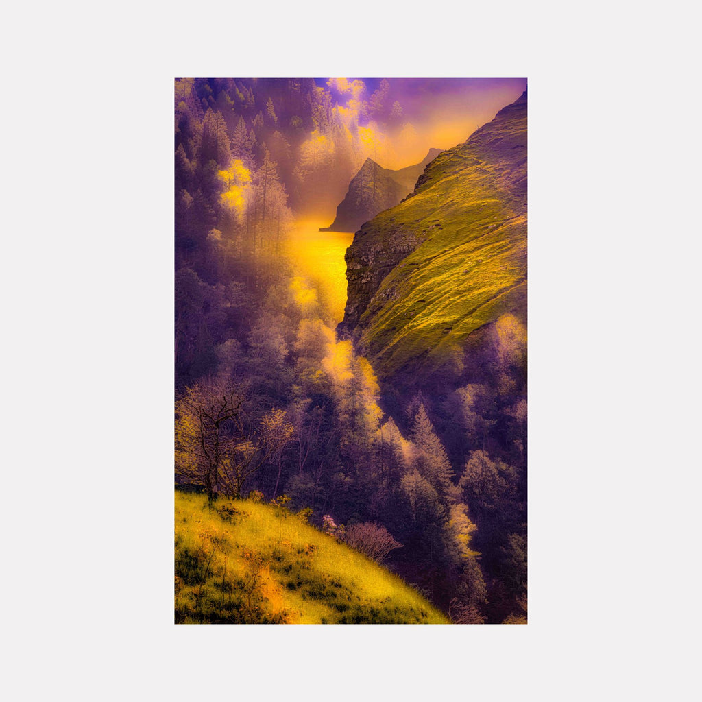 Stand #5 by Gordon Saperia captures a mystical valley bathed in golden light, with soft purple shadows enveloping lush hills and dense forests, blending vivid colors and serene natural elements in a captivating Curina art piece.