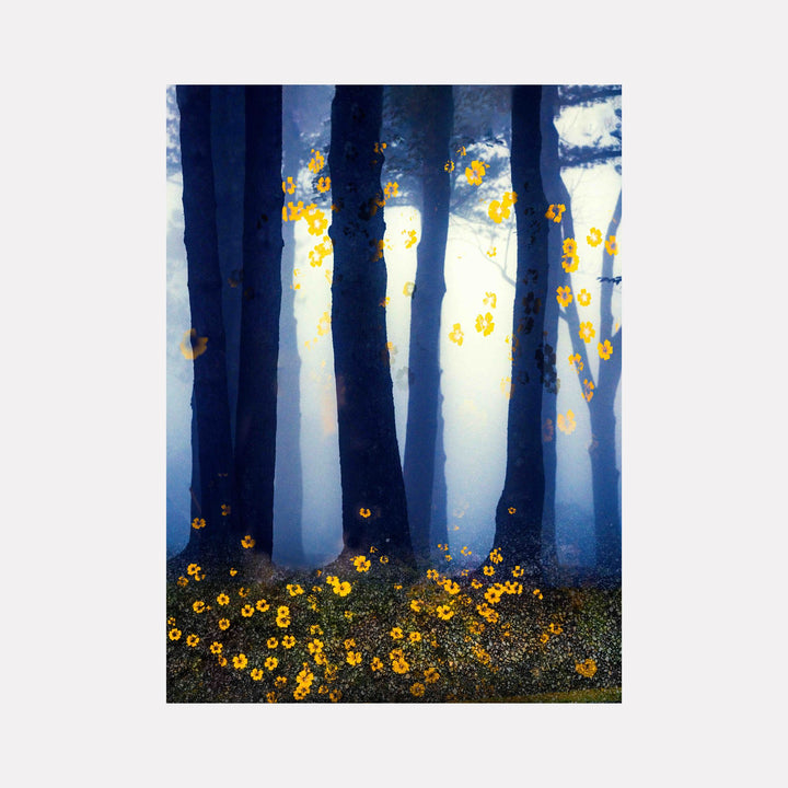 Stand #7 by Gordon Saperia depicts a misty forest scene with tall, shadowed trees emerging from a soft, glowing light, accented by scattered golden blossoms that add warmth and contrast, blending mysterious atmosphere and vibrant color in this Curina art piece.