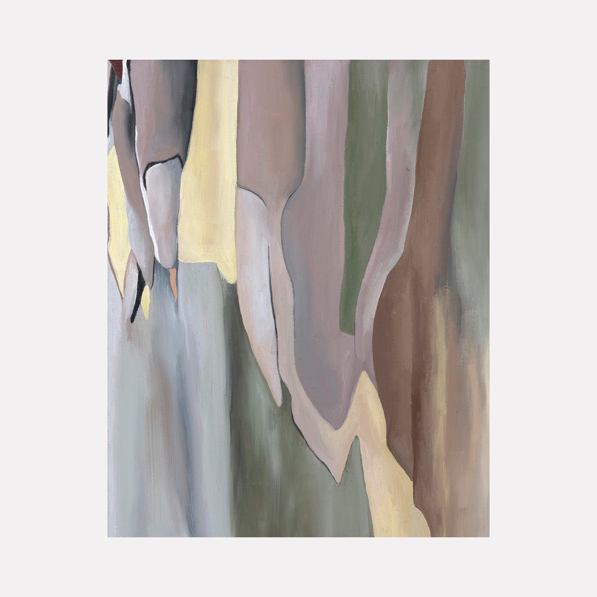 collection-cover-image