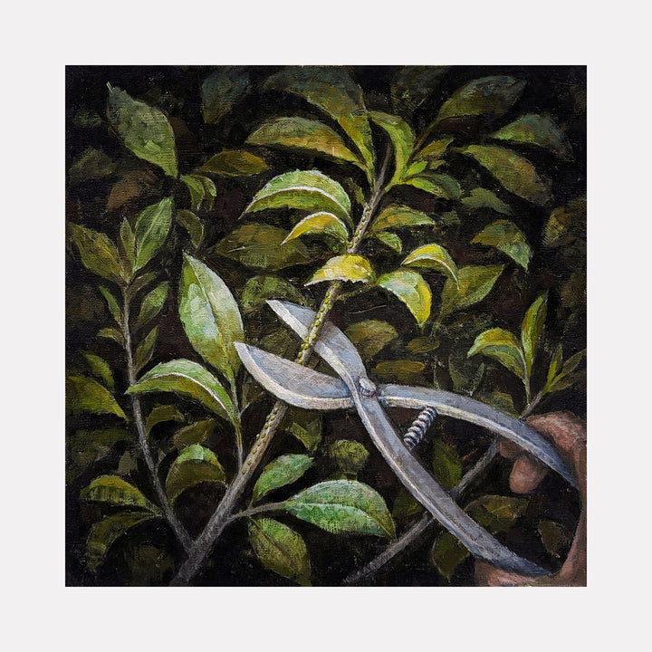 CUT by Ler Chang captures a close-up scene where silver pruning shears carefully cut a leafy green branch. The detailed foliage is set against a dark, textured background, creating a contemplative and intimate portrayal of nature and human interaction through subtle shadows and natural hues.