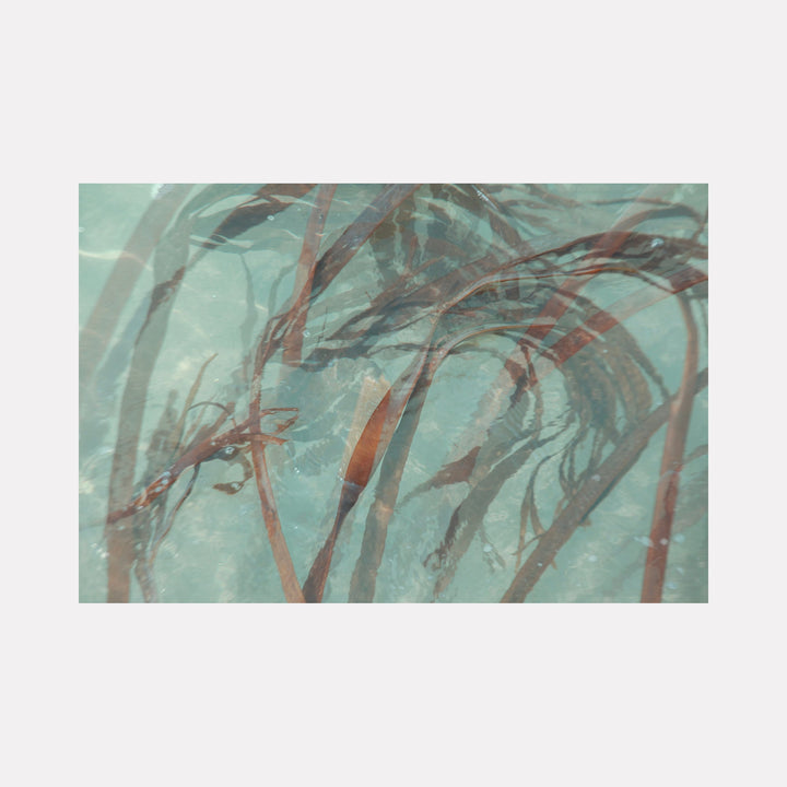 The artwork "080A6734" by Eunice Pais reveals a delicate underwater scene where translucent strands of seaweed sway in soft blue-green waters. The flowing, organic shapes and muted palette evoke the serene natural abstractions found in the works of Hiroshi Sugimoto and the contemplative textures reminiscent of Gerhard Richter’s layered paintings.