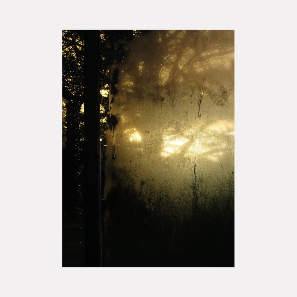 The artwork "Eyeries Conservatory #2" by Ann Tracy features a moody, atmospheric composition with warm golden light filtering through misted glass panels, evoking a contemplative ambiance. The textured surface and shadowy tree silhouettes recall the delicate play of light in works by Caspar David Friedrich, blending natural elements with abstract impressionism.