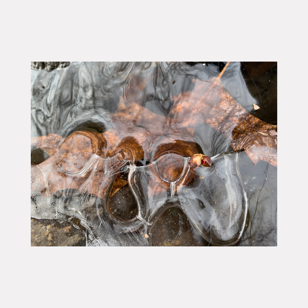 The artwork "Ice 2" by Molly Heron captures a close-up view of translucent ice formations with smooth, flowing contours over a textured brown and gray background. The intricate layers and reflections evoke natural abstraction and fluidity reminiscent of Gerhard Richter’s textural depth and the organic minimalism found in Vija Celmins’ detailed studies.