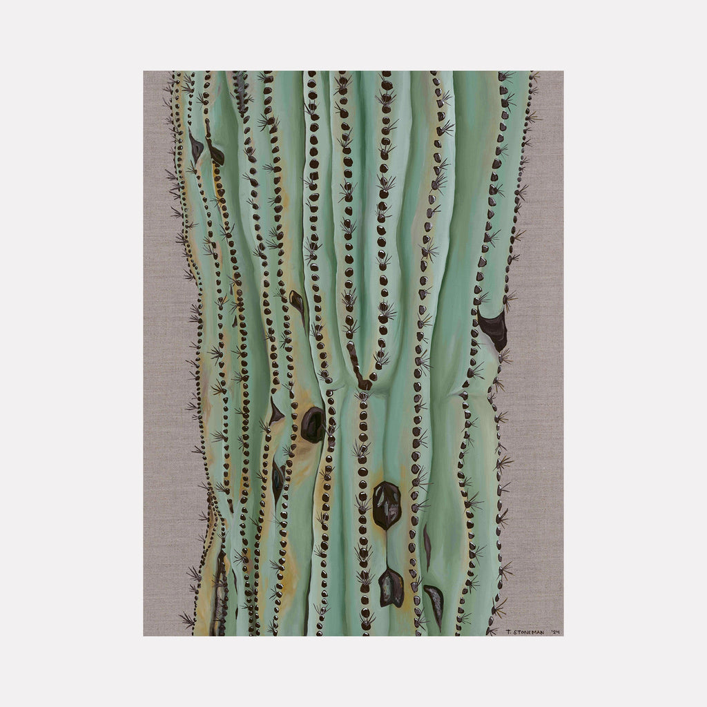 The artwork "The Desert Will Carry You" by Taylor Stoneman features a close-up of a tall cactus with soft green vertical ridges and dark brown spines arranged in rows. The textured background has a natural, linen-like appearance. The style echoes the detailed botanical illustrations of Georgia O'Keeffe combined with minimalist modern realism.