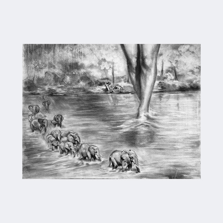 The artwork "Gaia" by Regina Miele depicts a series of elephants walking through water with the lower legs and feet of a large human figure emerging from the background, blending nature with humanity. Rendered in detailed black and white charcoal or pencil, the piece evokes the tonal subtlety and dreamlike quality reminiscent of works by Salvador Dalí and Anselm Kiefer, combining realism and surrealism with textured shading that highlights depth 
