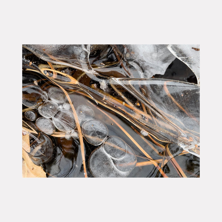 The artwork "Ice 3" by Molly Heron reveals a close-up study of ice formations interwoven with thin organic strands and suspended air bubbles. The interplay of translucent layers and earthy tones creates a textured surface reminiscent of the natural abstractions found in the works of Agnes Martin and the delicate detail in Hiroshi Sugimoto’s nature photography.