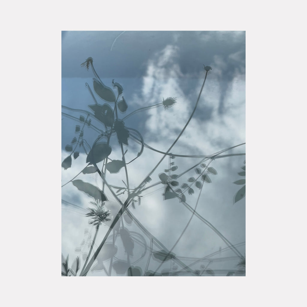The artwork "Wisteria Vines" by Molly Heron reveals delicate vine silhouettes with slender stems and small leaves against a soft, cloudy blue-gray background. The ethereal layering and subtle translucency evoke a serene, natural abstraction reminiscent of Hiroshi Sugimoto’s atmospheric qualities and Agnes Martin’s gentle minimalism.