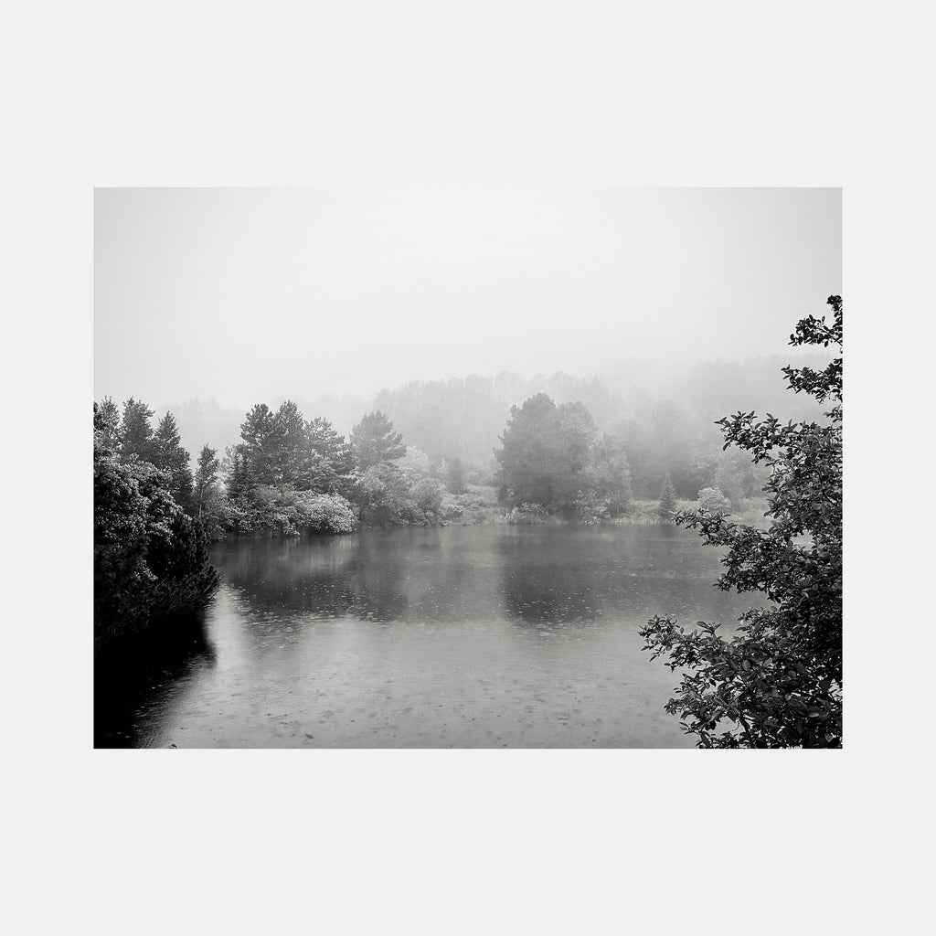 The artwork Bagley Nature Area #2 by Ann Tracy depicts a serene black and white landscape featuring a still body of water surrounded by dense trees and foliage shrouded in mist, evoking the atmospheric qualities reminiscent of Ansel Adams' photography and the tonal subtlety found in traditional Japanese ink wash paintings.