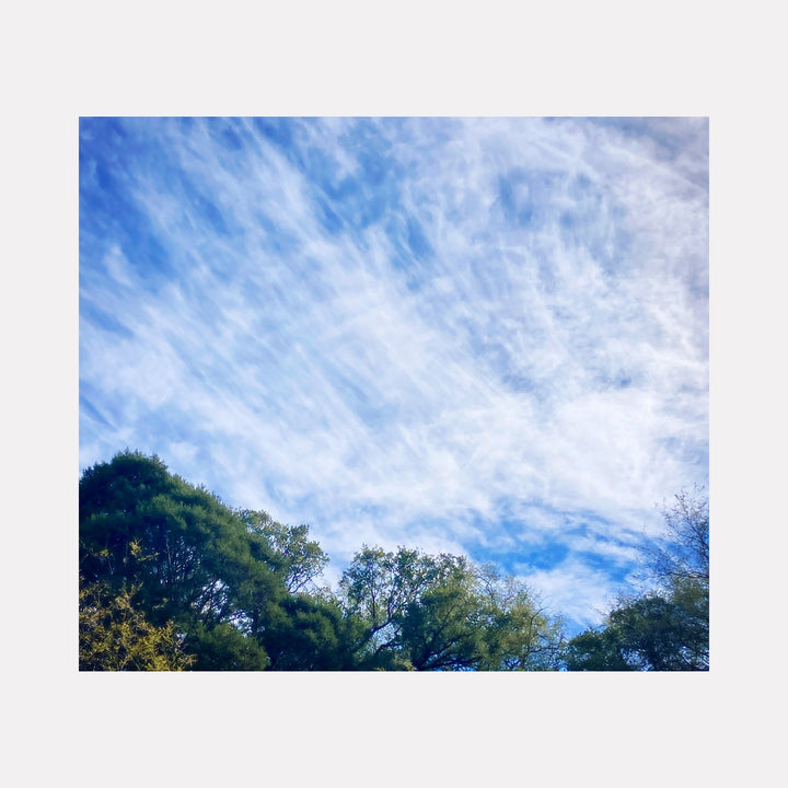 The artwork "Madera Canyon #1" by Ann Tracy features a serene landscape with lush green treetops beneath a vast expanse of sky filled with wispy, cirrus-like clouds. The image captures natural textures and light reminiscent of impressionist artists like Claude Monet, evoking a peaceful, contemplative atmosphere through its soft, flowing brushstroke style.