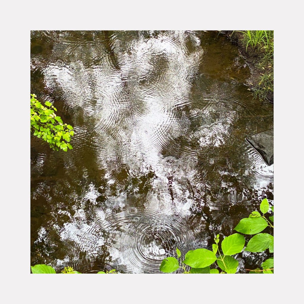 The artwork "Amity Creek #2" by Ann Tracy captures rippling water surface reflecting cloudy skies, surrounded by vibrant green leaves and natural textures. The piece evokes the impressionistic style of Claude Monet’s water reflections with delicate light interplay and organic shapes, emphasizing tranquility and nature’s fluid beauty.