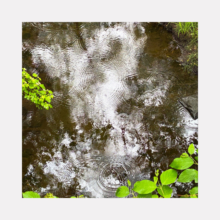 The artwork "Amity Creek #2" by Ann Tracy captures rippling water surface reflecting cloudy skies, surrounded by vibrant green leaves and natural textures. The piece evokes the impressionistic style of Claude Monet’s water reflections with delicate light interplay and organic shapes, emphasizing tranquility and nature’s fluid beauty.