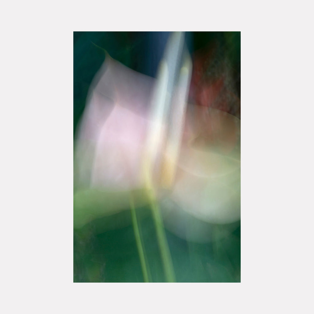 The artwork "A Timeless Blur" by Sandi Daniel features a soft, ethereal abstraction of delicate floral forms rendered in gentle pinks, greens, and muted whites. The blurred, layered textures evoke a dreamy, atmospheric quality reminiscent of the impressionistic softness in works by Claude Monet and the subtle abstraction of Georgia O’Keeffe’s floral imagery.