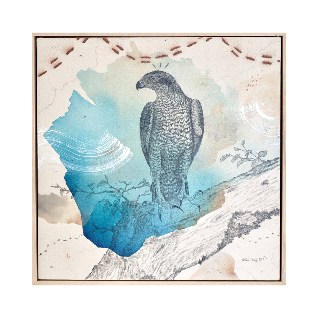 The artwork "American Goshawk, Baron of the Backwoods" by Alicia Hauff features a detailed mixed-media depiction of a goshawk perched on a textured branch, set against a softly layered background of blues and muted earth tones. The composition blends naturalistic detail with abstract washes reminiscent of John James Audubon and contemporary nature illustrators.