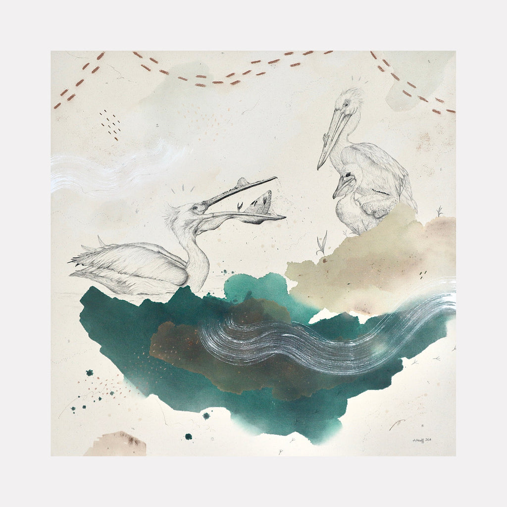 The artwork "American White Pelican Has the Scoop" by Alicia Hauff features detailed pencil sketches of two pelicans, one with its beak open holding fish, surrounded by abstract watercolor shapes in green, brown, and white with textured brush strokes and subtle dotted patterns, creating a soft, artistic natural scene.
