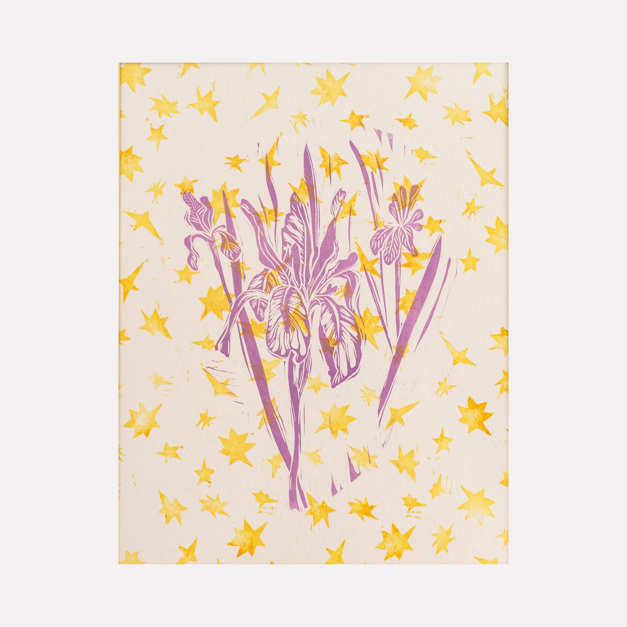 collection-cover-image