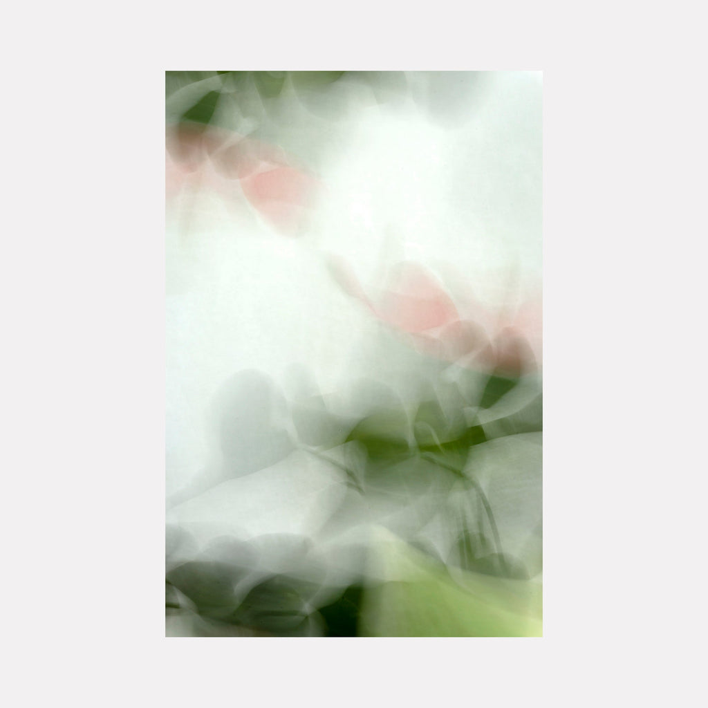 The artwork "Blurred Beauty" by Sandi Daniel features a soft, ethereal composition of delicate green and pink forms with misty, overlapping textures. The abstract nature and gentle color palette evoke a dreamlike, impressionistic quality reminiscent of works by Claude Monet and contemporary photographic abstraction.