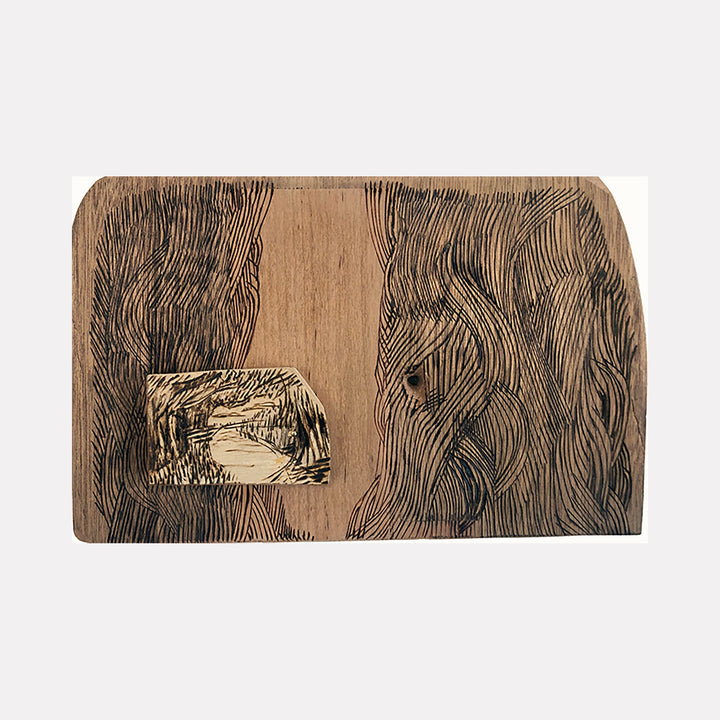 The artwork Burnt Offering - Mullica River, by Zoe Cohen