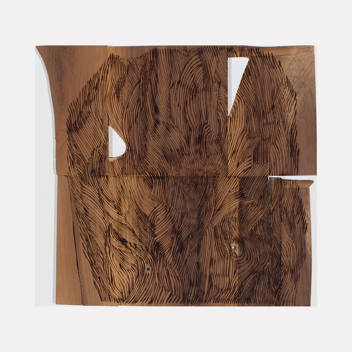 The artwork Burnt Offering 2, by Zoe Cohen