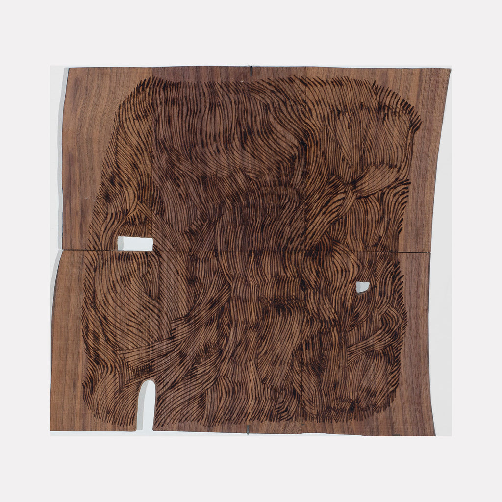 The artwork Burnt Offering 3, by Zoe Cohen