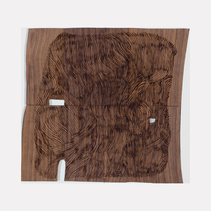 The artwork Burnt Offering 3, by Zoe Cohen