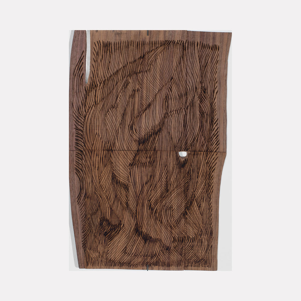The artwork Burnt Offering 4, by Zoe Cohen