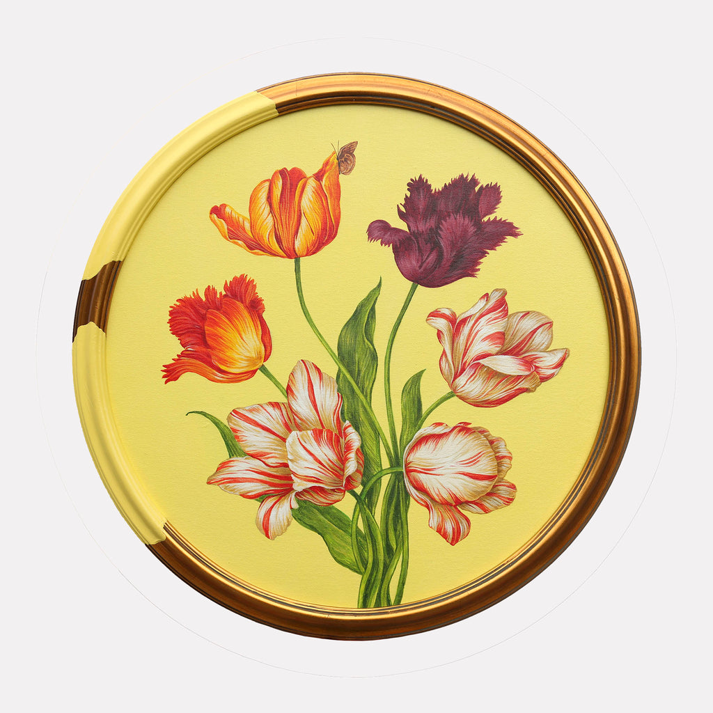 The artwork "The Weight of Spring II" by Carlos Gamez de Francisco features a circular composition of richly detailed tulips in vibrant shades of red, orange, and purple with variegated petals, set against a soft yellow background. The delicate botanical forms and precise textures evoke the refined realism of Dutch Golden Age painters and the floral elegance of Georgia O’Keeffe.