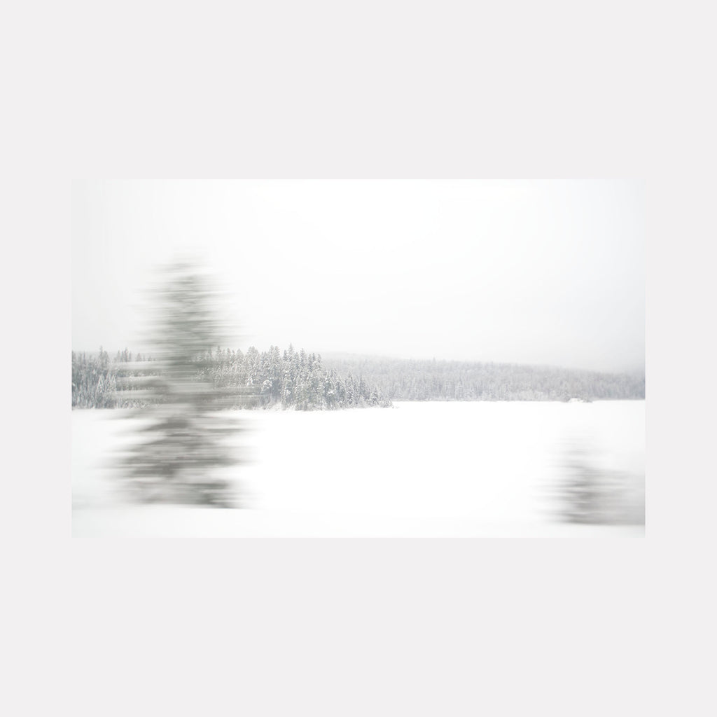 The artwork "Cutting Though" by Kelly McGovern features a serene winter landscape with abstract blurred trees in the foreground and a distant snow-covered forest. The soft muted whites and grays evoke a minimalist, impressionistic style reminiscent of Claude Monet's ethereal water lilies, emphasizing motion and tranquility.