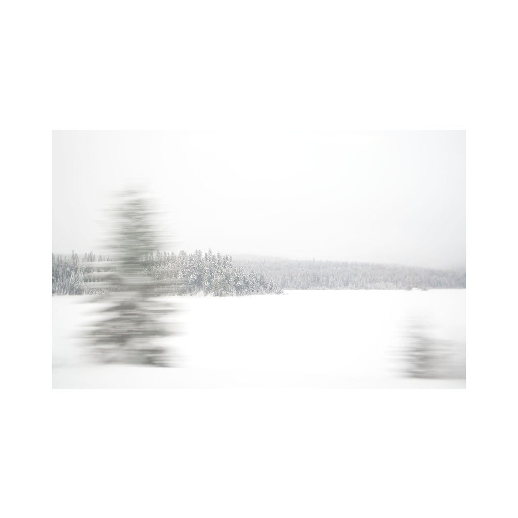 The artwork "Cutting Though" by Kelly McGovern features a minimalist winter landscape with snow-covered trees and a blurred effect that creates a sense of motion and tranquility. The muted white and gray tones evoke cold, serene natural beauty. Kelly McGovern.