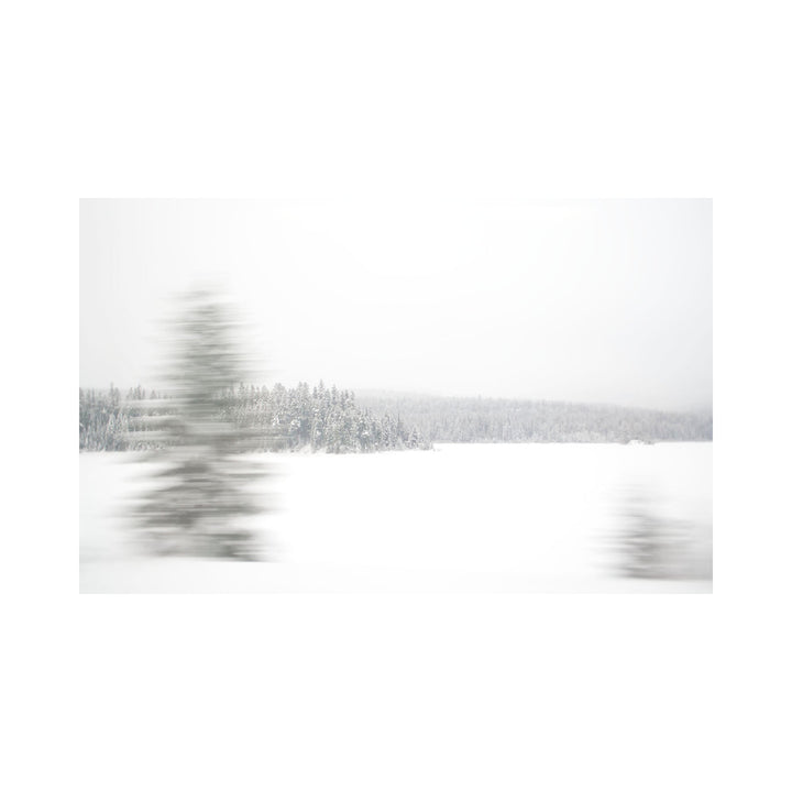 The artwork "Cutting Though" by Kelly McGovern features a minimalist winter landscape with snow-covered trees and a blurred effect that creates a sense of motion and tranquility. The muted white and gray tones evoke cold, serene natural beauty. Kelly McGovern.