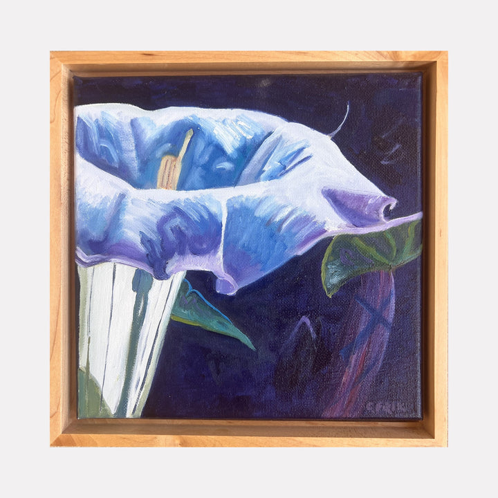 The artwork "Datura" by Connie Falk features a close-up of a delicate flower with soft blue and white petals, set against a deep, dark background. The painting employs rich textures and subtle shading, reminiscent of Georgia O'Keeffe's floral studies, capturing organic forms with realism and an intimate focus in a wood frame.