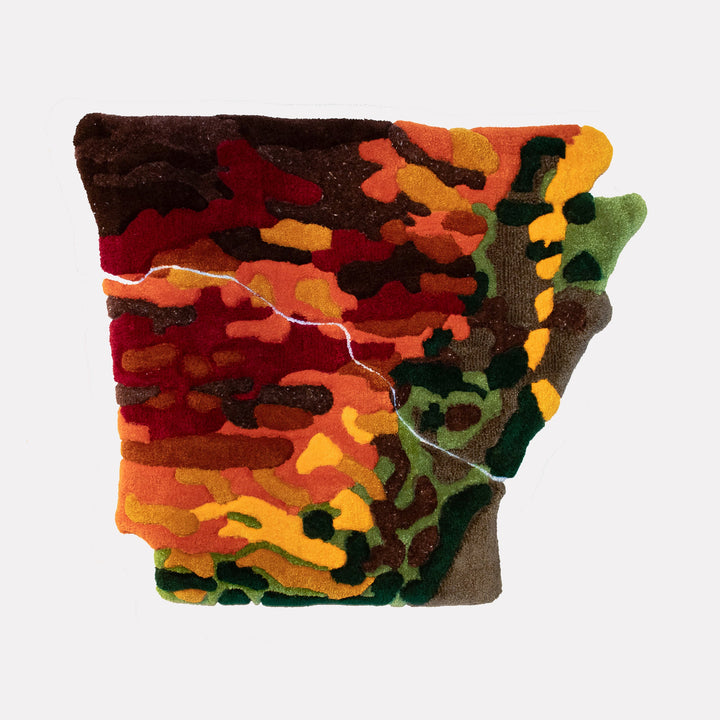 The artwork "Endangered Natural State - Fall" by Abigail Henthorne presents a textured abstract map-like form with rich autumnal hues of deep red, burnt orange, golden yellow, dark green, and brown. The layered, organic shapes evoke the natural abstraction and earthy vibrancy found in the works of Henri Matisse and Jean Dubuffet.