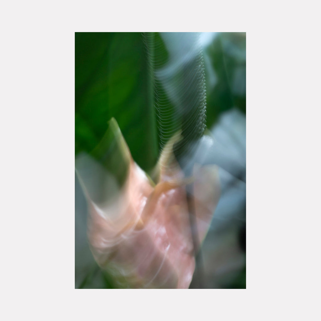 The artwork "Floral Dreams" by Sandi Daniel features a soft, abstract portrait with blurred shapes in muted greens and delicate pinks. The translucent layers and gentle textures evoke a dreamy, ethereal quality reminiscent of the atmospheric abstractions found in works by Georgia O’Keeffe and Agnes Martin.