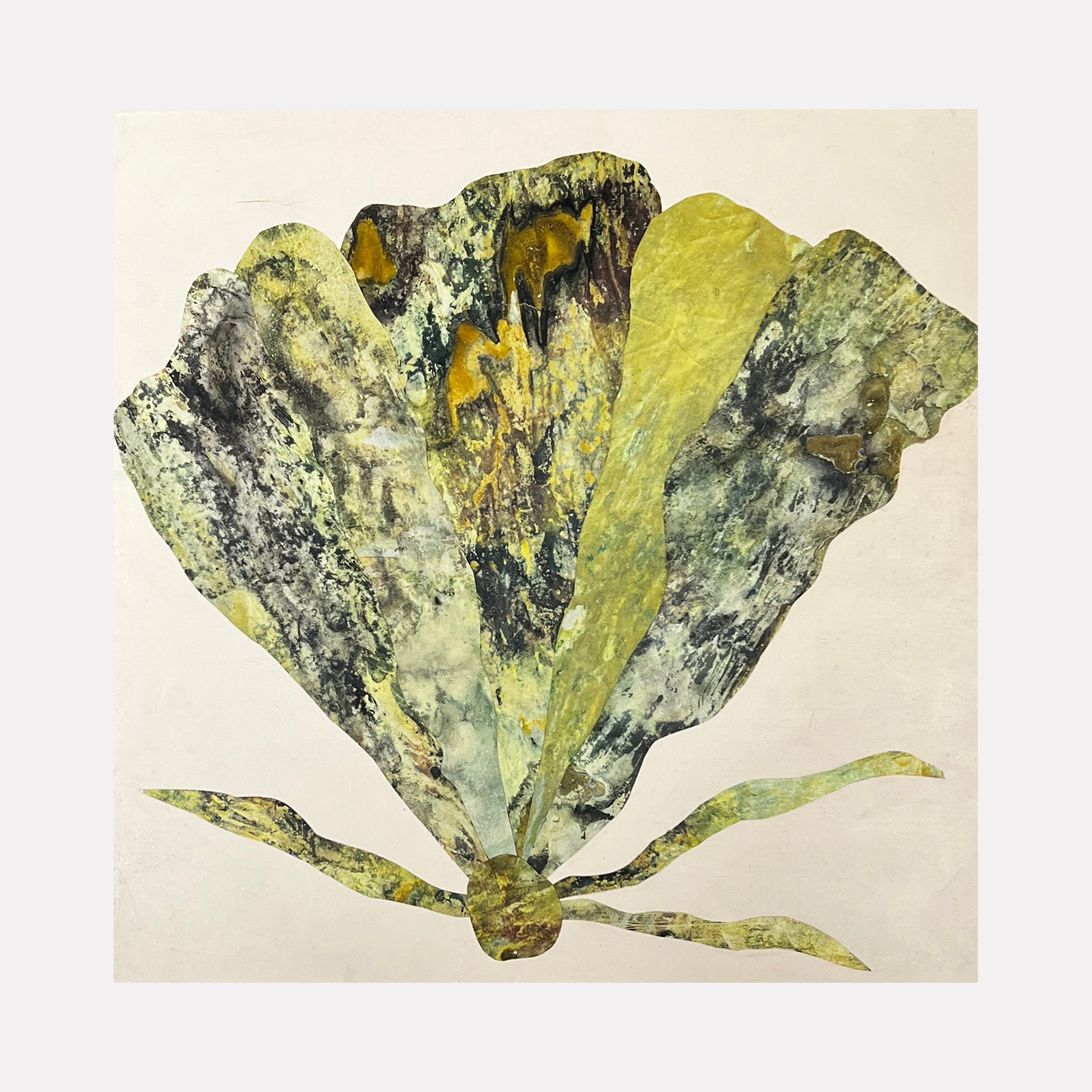 collection-cover-image