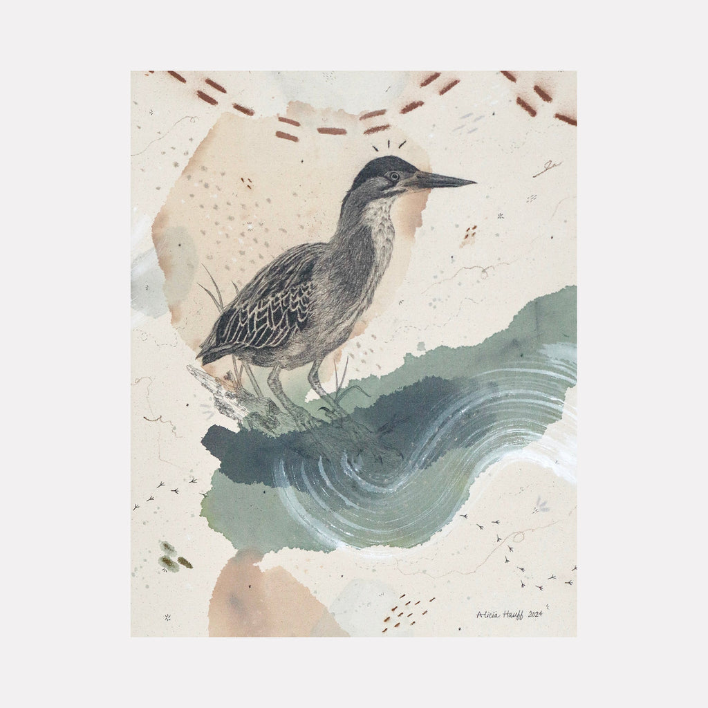The artwork "Green Heron, Luring at the Water's Edge" by Alicia Hauff depicts a detailed green heron standing near a textured water surface with swirling blue and green hues. The background features abstract earthy tones and soft brushstrokes, blending naturalistic and artistic styles with delicate patterns and subtle shading. Alicia Hauff.