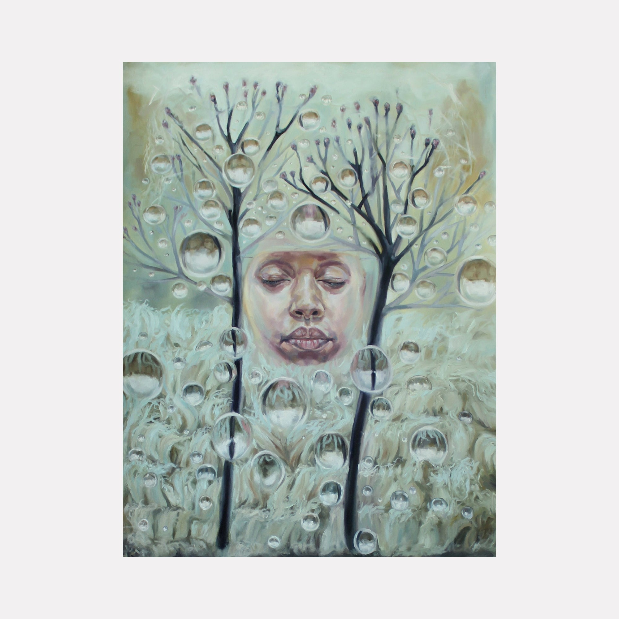 collection-cover-image