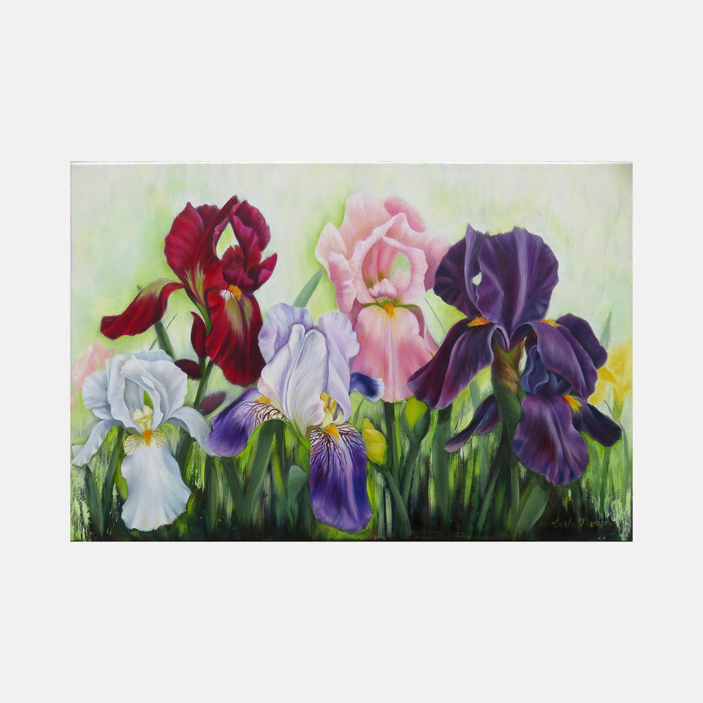 The artwork "Iris" by Carla Thomson features a vibrant and detailed arrangement of iris flowers in varied colors including deep red, soft pink, white, lavender, and rich purple. The painting showcases realistic textures and delicate petals, reminiscent of botanical illustrations and the delicate floral works of Georgia O’Keeffe, with a soft, naturalistic background that enhances the tranquility and elegance of the composition.