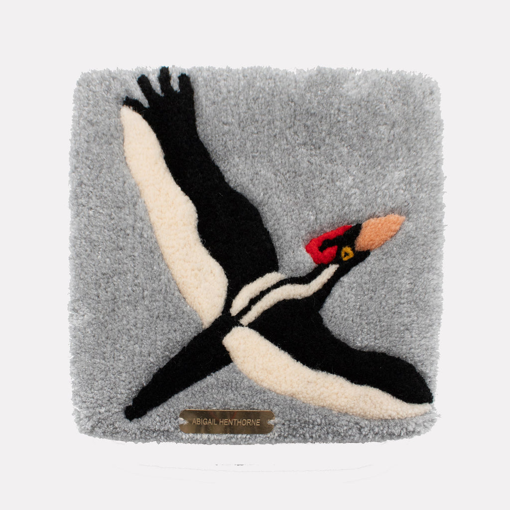 The artwork "Ivory Billed Woodpecker" by Abigail Henthorne depicts a stylized bird rendered in plush black, white, and red fibers on a soft gray background. The tactile design and bold contrasts evoke the graphic clarity of Alexander Calder’s animal forms and the vibrant simplicity of Charley Harper’s wildlife illustrations.