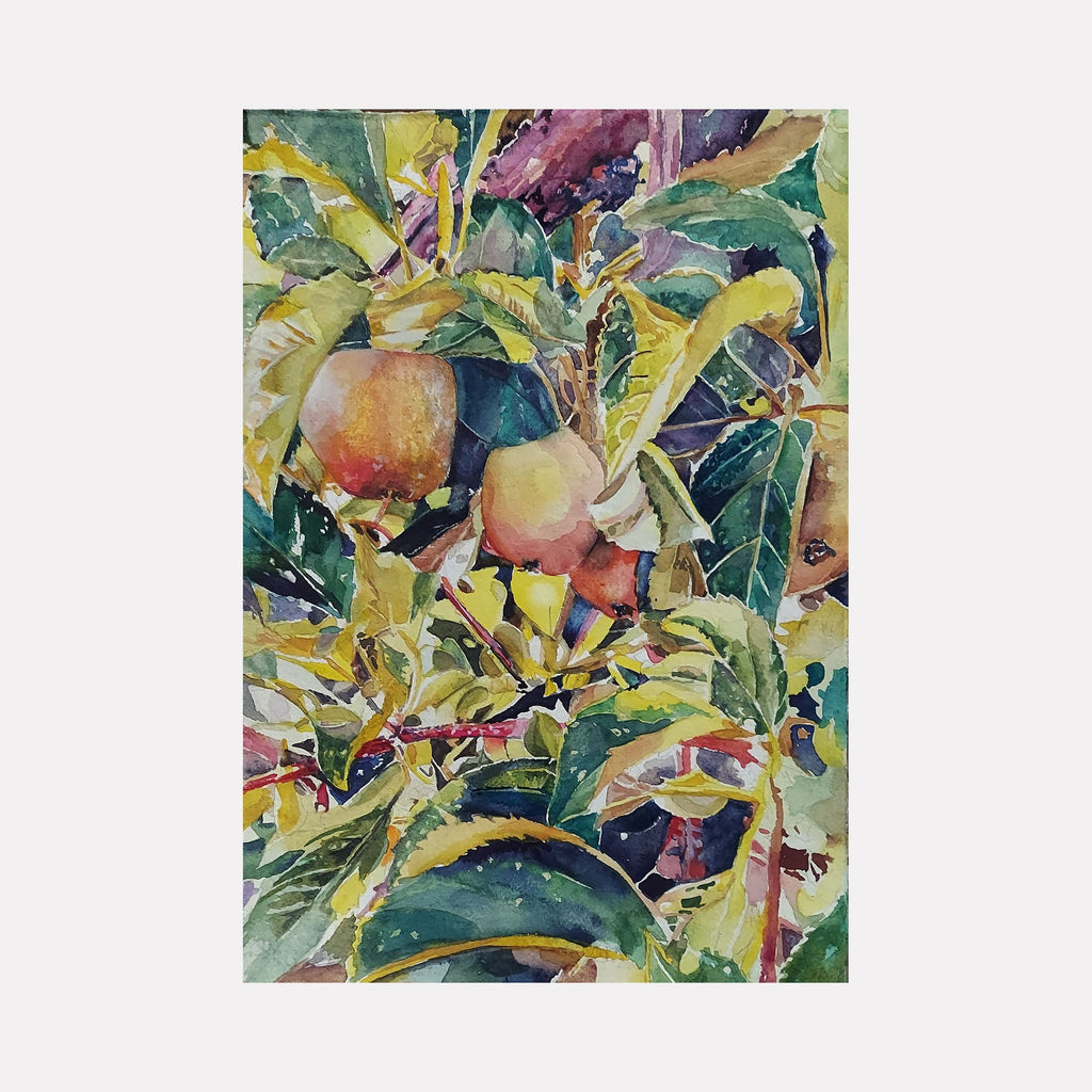 The artwork "Apple Tree" by Jane E. Skafte portrays a vibrant, detailed watercolor composition of apples hanging among lush green and yellow leaves. The style blends naturalistic textures with impressionistic brushstrokes, reminiscent of Paul Cézanne’s fruit studies and the organic complexity found in Claude Monet’s garden scenes, emphasizing color interplay and layered foliage.