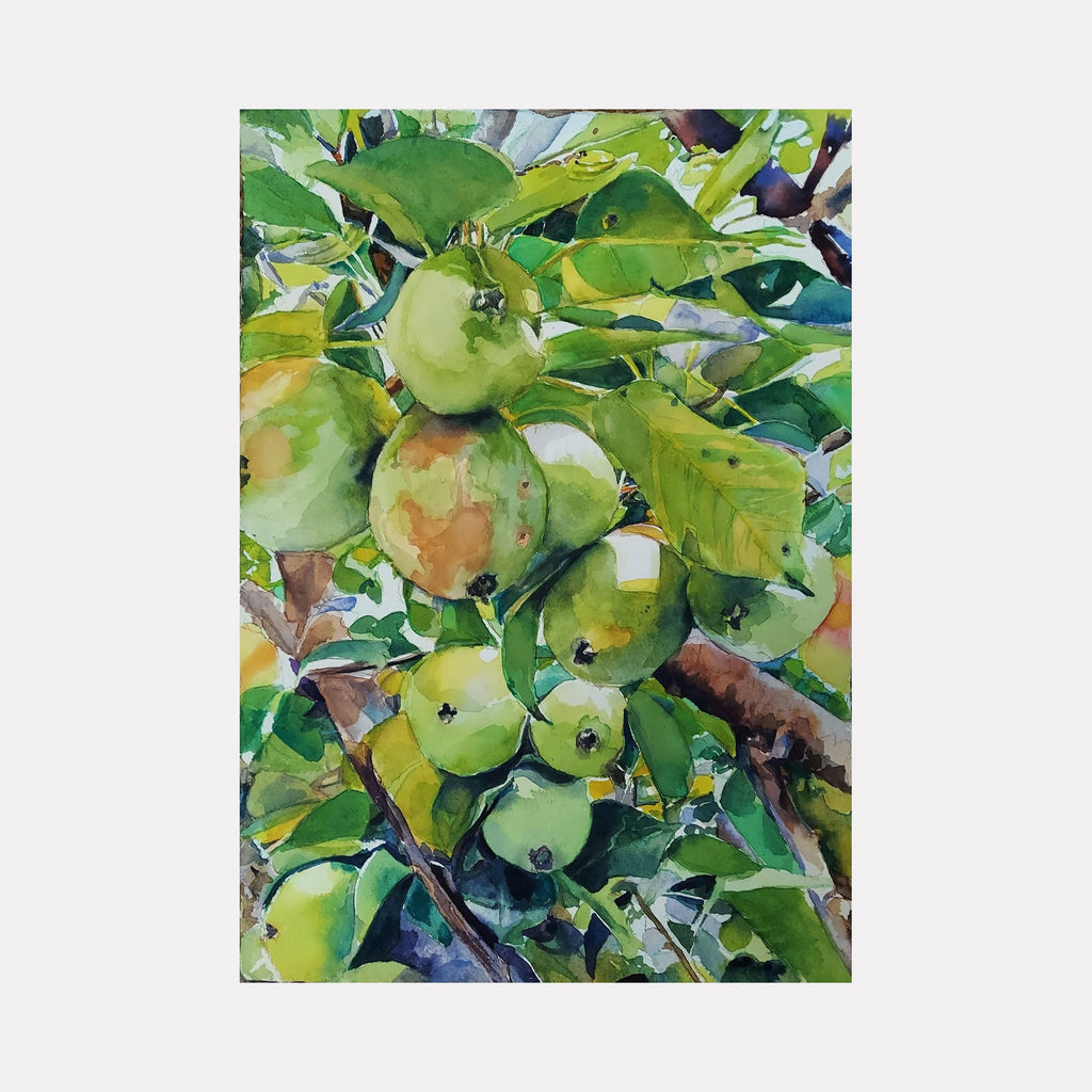 The artwork "Pear Tree" by Jane E. Skafte features a vibrant watercolor depiction of clustered green pears hanging amid lush, overlapping leaves and sturdy branches. The piece showcases delicate brushstrokes and a naturalistic style reminiscent of botanical illustrations by Maria Sibylla Merian, highlighting textures, light, and shadow to evoke freshness and organic beauty.