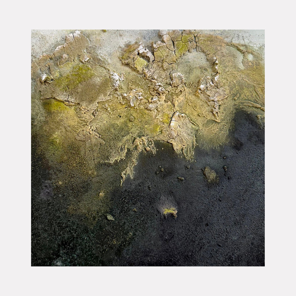 The artwork "Jealousy" by Abbey Stace presents an abstract textured surface with cracked, organic shapes in earthy browns and muted olive greens blending into deep charcoal and black tones. Its layered composition evokes natural erosion and geological patterns, channeling the raw materiality found in Anselm Kiefer’s and Jean Dubuffet’s expressive abstractions.