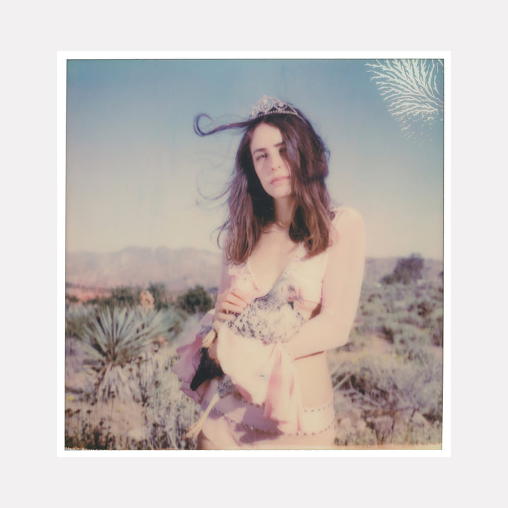 The artwork "Lady Bird (Chicks and Chicks and sometimes Cocks)" features a woman in soft pastel tones wearing a light pink outfit and a tiara, gently holding a chicken against a blurred natural desert landscape with muted greens and browns, capturing a dreamy, vintage Polaroid style. By Stefanie Schneider.