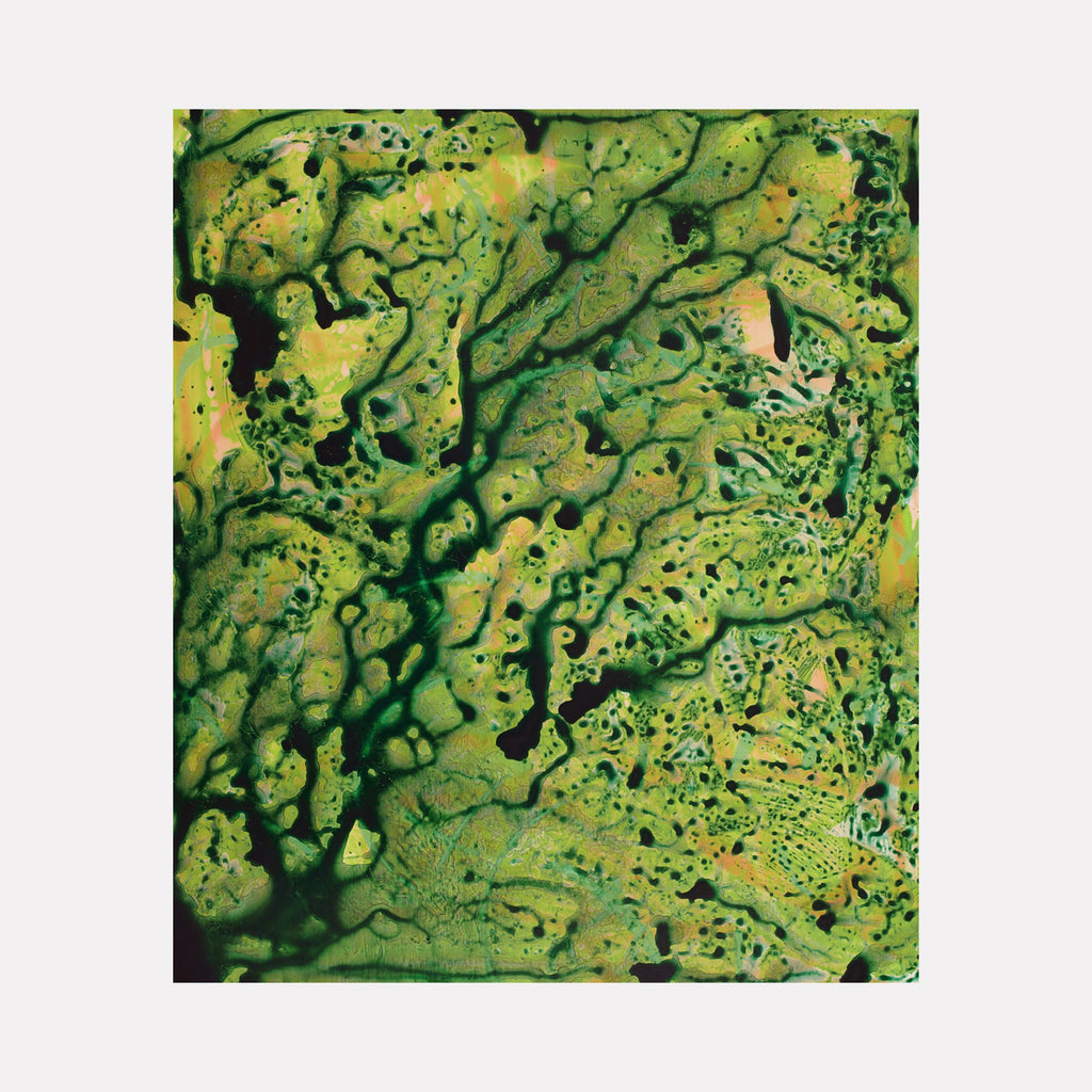 The artwork "Lushlandia" features an abstract composition with intricate organic patterns resembling verdant foliage and natural textures in various shades of green, yellow, and hints of black. The fluid, textured layers create a sense of depth and movement, evoking a lush landscape. The piece is by Marlene Struss.