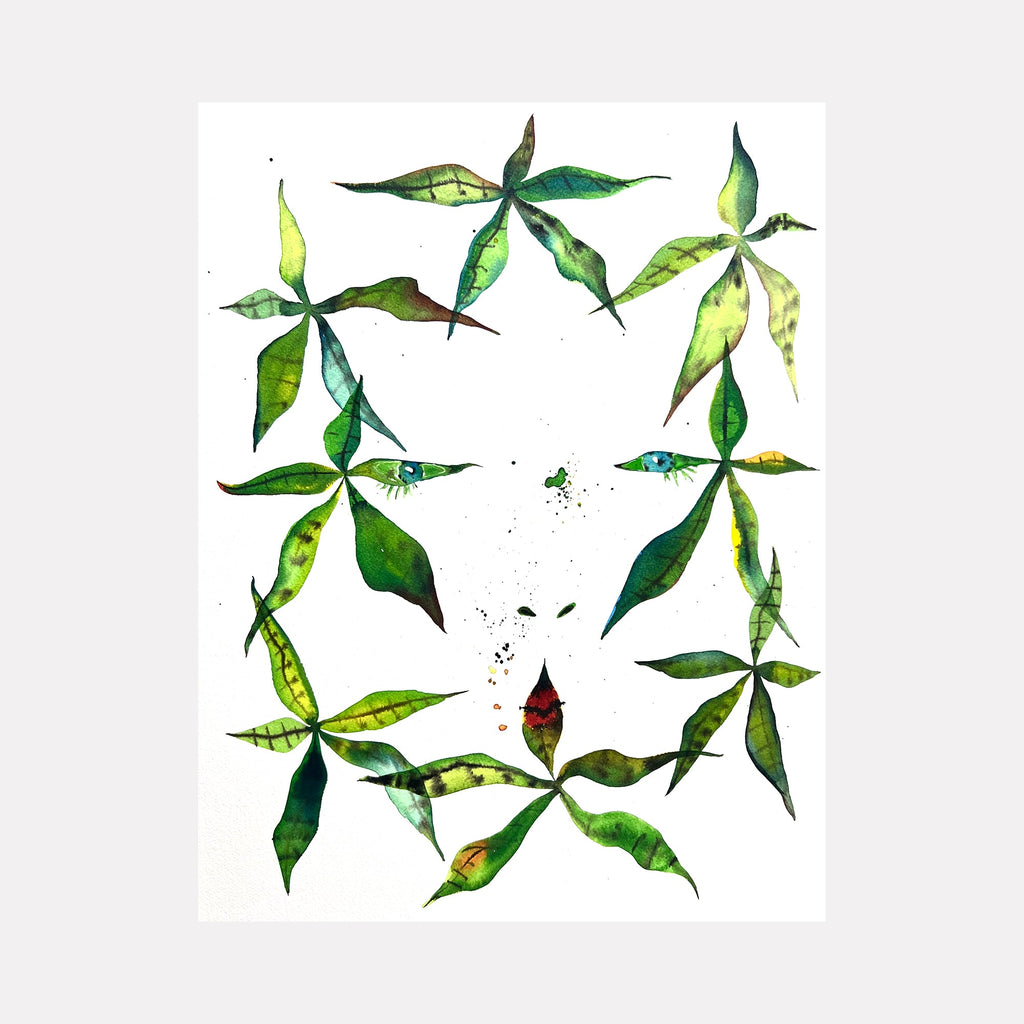 money trees features Money Tree Shot