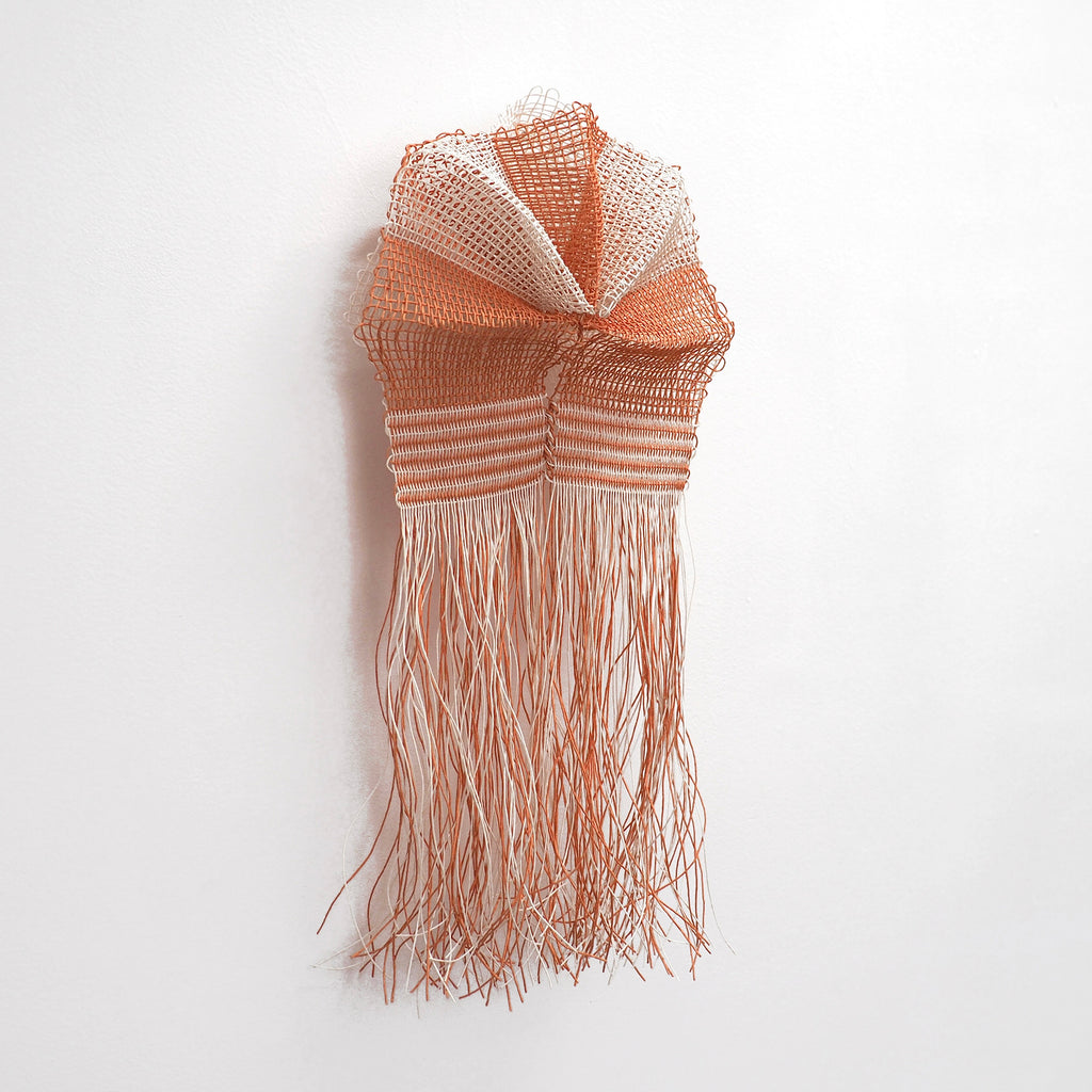 The artwork "Red Cloud" by Morgan Hale features an abstract woven sculpture with a delicate mesh texture combining soft red and cream tones. The piece emphasizes organic, flowing forms with layered fabric-like strips and cascading fringes, reminiscent of the tactile qualities found in works by Sheila Hicks and Eva Hesse, blending fiber art with contemporary minimalism.