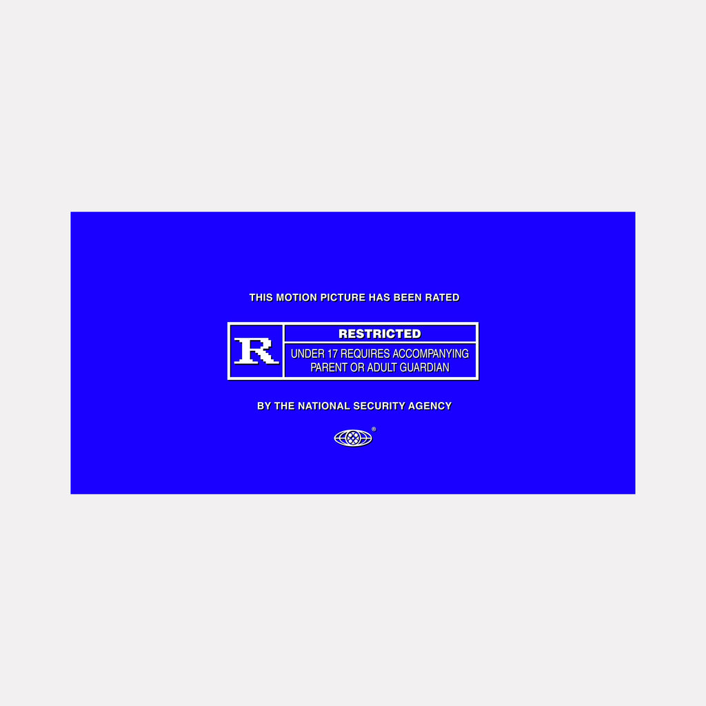 The artwork "NSA" by Harold Herb features a stark, monochromatic blue field with white text arranged in a structured, grid-like format resembling a film rating card. The minimalist design channeling conceptual artists like Barbara Kruger juxtaposes bold typography with institutional formality, evoking themes of authority and restriction through clean, graphic precision.